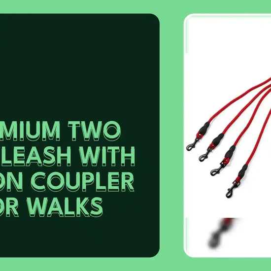 Premium Two Dog Leash With Nylon Coupler For Walks by@Outfy