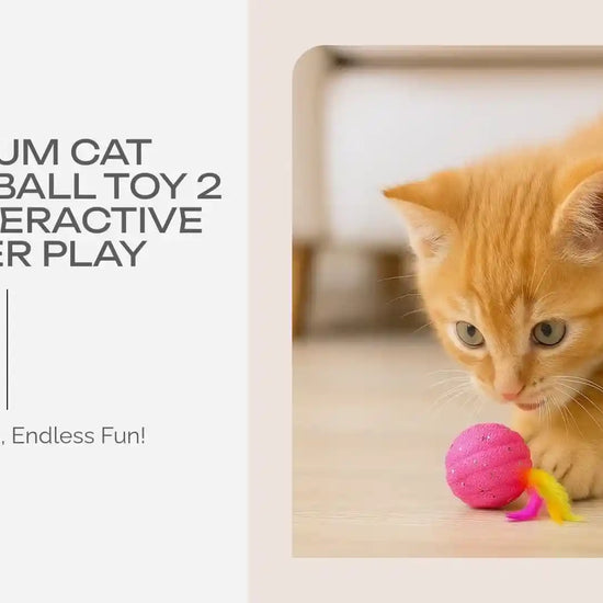 Premium Cat Feather Ball Toy 2 Pack Interactive Rubber Play by@Outfy