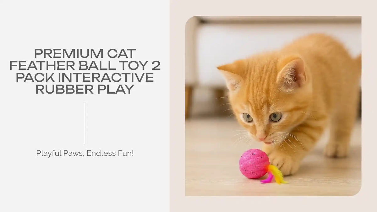 Premium Cat Feather Ball Toy 2 Pack Interactive Rubber Play by@Outfy