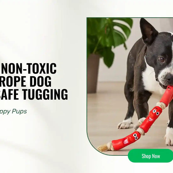 Premium Non-Toxic Sausage Rope Dog Toy For Safe Tugging by@Outfy