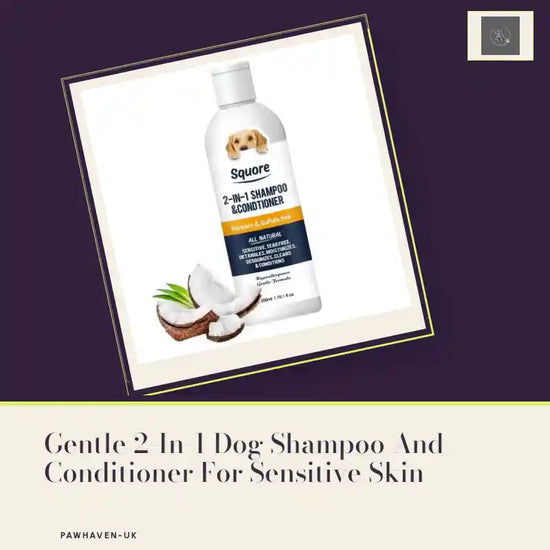 Gentle 2-In-1 Dog Shampoo And Conditioner For Sensitive Skin by@Outfy