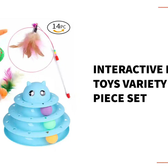 Interactive Kitten Toys Variety Pack 20 Piece Set by@Outfy