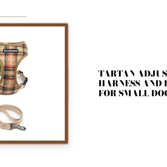 Tartan Adjustable Harness and Leash Set for Small Dogs by@Outfy