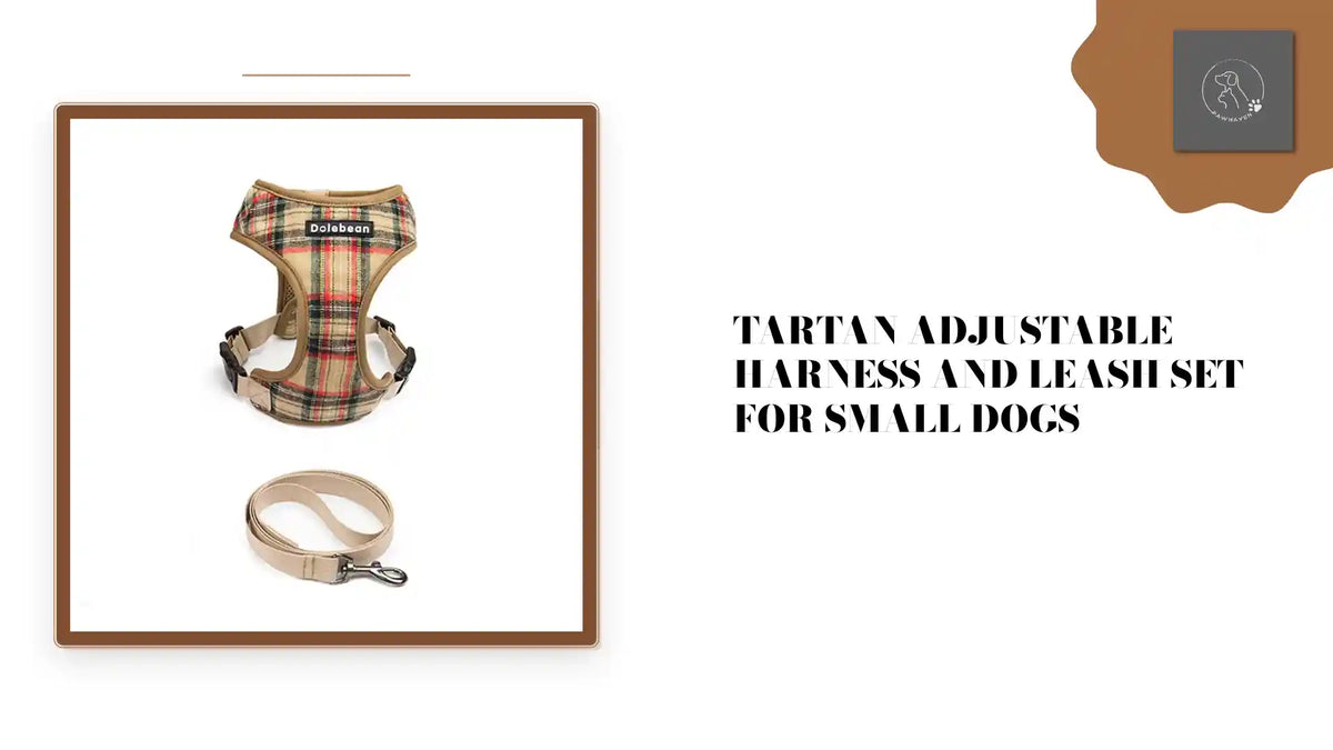 Tartan Adjustable Harness and Leash Set for Small Dogs by@Outfy
