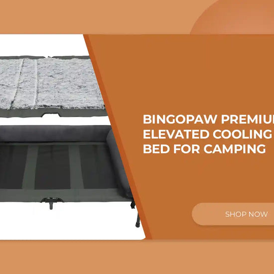 BINGOPAW Premium Elevated Cooling Dog Bed For Camping by@Outfy