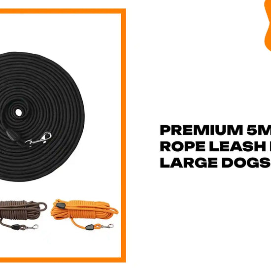 Premium 5M Long Rope Leash For Large Dogs by@Outfy
