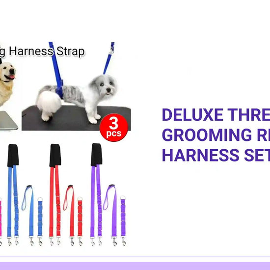 Deluxe Three Piece Dog Grooming Restraint Harness Set by@Outfy