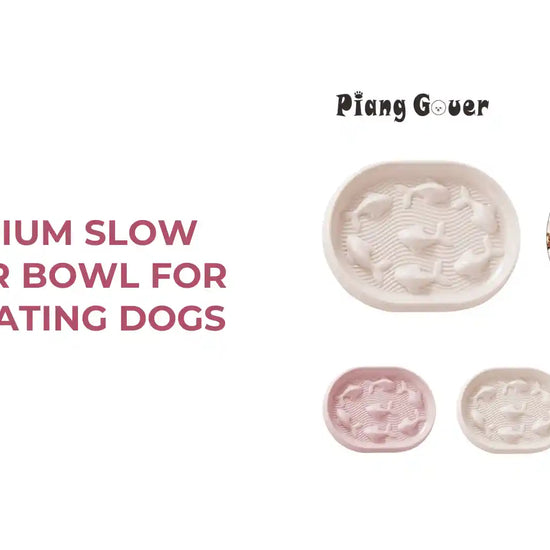 Premium Slow Feeder Bowl For Fast Eating Dogs by@Outfy