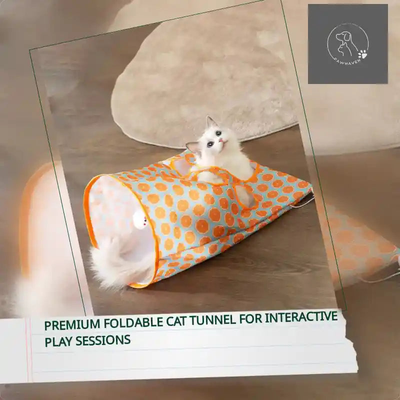 Premium Foldable Cat Tunnel For Interactive Play Sessions by@Outfy
