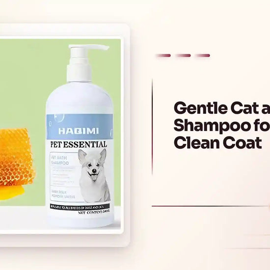 Gentle Cat and Dog Shampoo for a Fresh Clean Coat by@Outfy