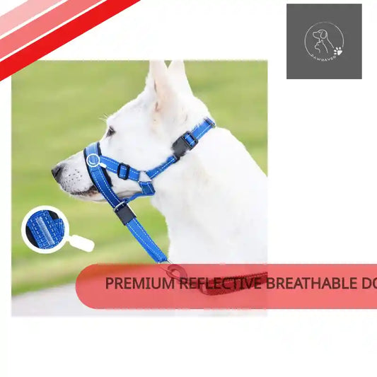 Premium Reflective Breathable Dog Muzzle For Bark Control by@Outfy