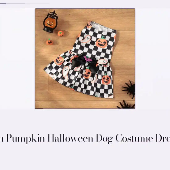 Premium Pumpkin Halloween Dog Costume Dress Small by@Outfy