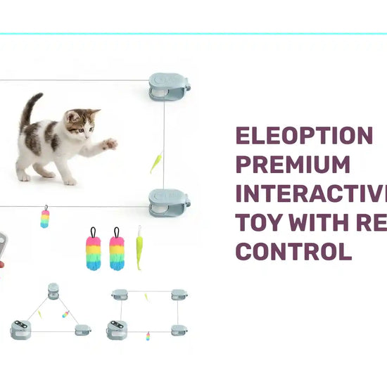 Eleoption Premium Interactive Cat Toy With Remote Control by@Outfy