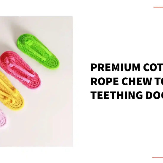 Premium Cotton Rope Chew Toy For Teething Dogs by@Outfy