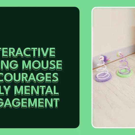 Interactive Spring Mouse Encourages Daily Mental Engagement by@Outfy