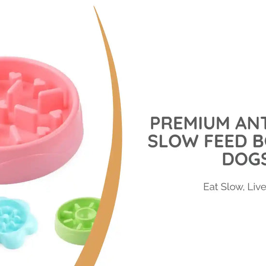 Premium Anti-Choke Slow Feed Bowl For Dogs by@Outfy