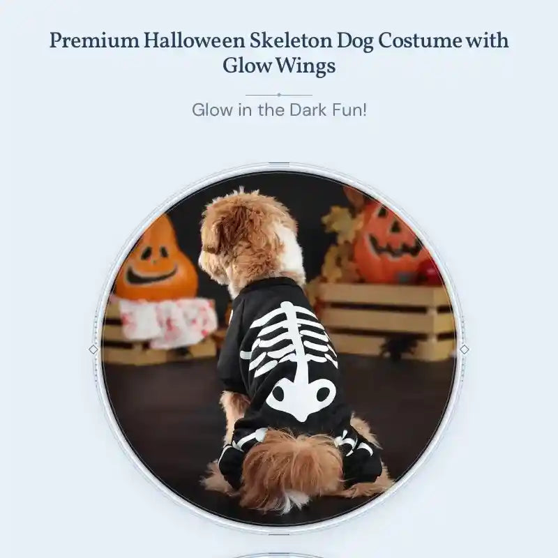Premium Halloween Skeleton Dog Costume with Glow Wings by@Outfy