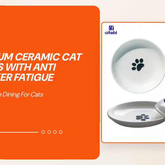 Premium Ceramic Cat Bowls with Anti Whisker Fatigue by@Outfy