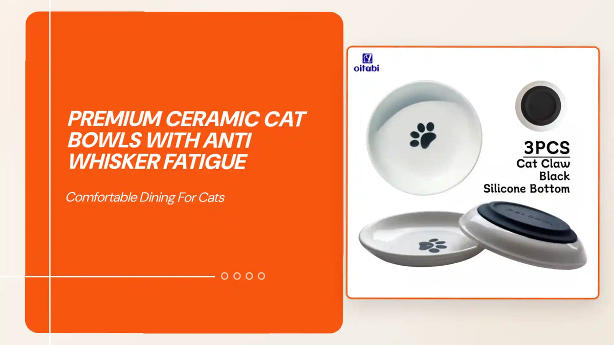 Premium Ceramic Cat Bowls with Anti Whisker Fatigue by@Outfy