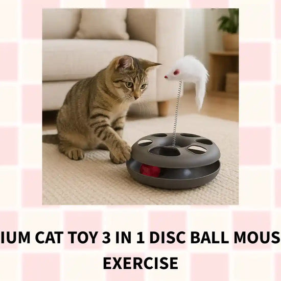 Premium Cat Toy 3 In 1 Disc Ball Mouse For Exercise by@Outfy