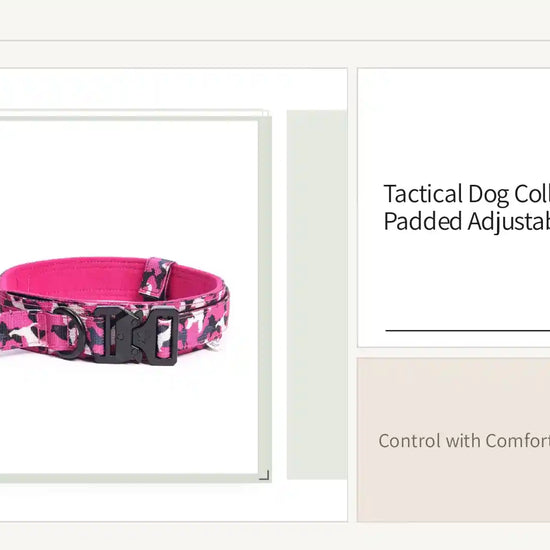 Tactical Dog Collar With Handle Padded Adjustable Control by@Outfy