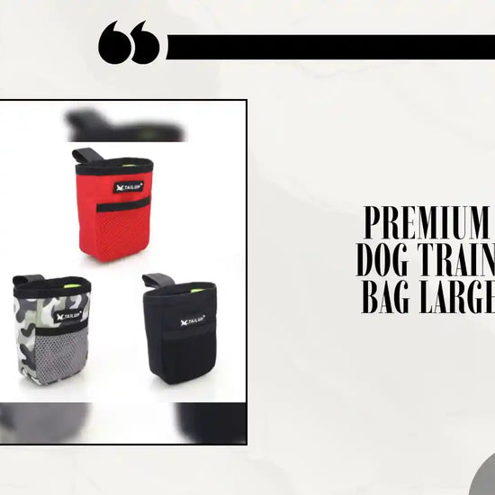 Premium Outdoor Dog Training Snack Bag Large Capacity by@Outfy