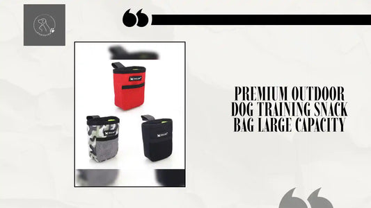 Premium Outdoor Dog Training Snack Bag Large Capacity by@Outfy