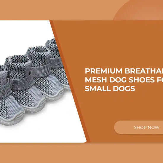 Premium Breathable Mesh Dog Shoes For Small Dogs by@Outfy