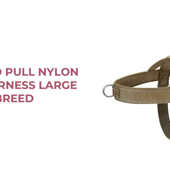 Elite No Pull Nylon Dog Harness Large Breed by@Outfy
