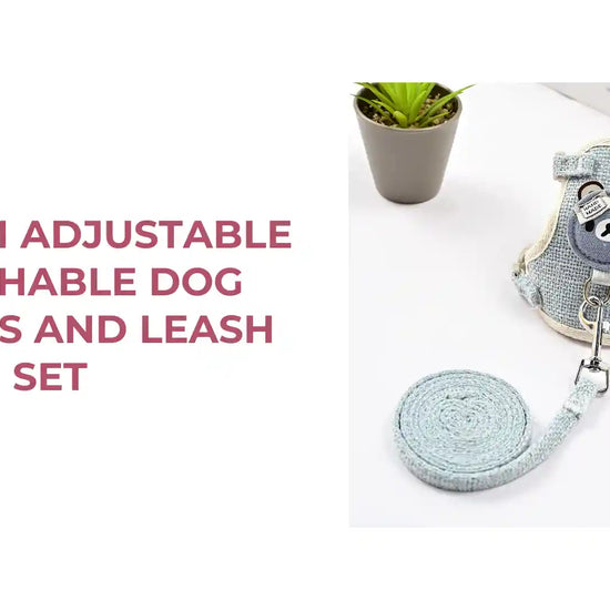 Premium Adjustable Breathable Dog Harness And Leash Set by@Outfy