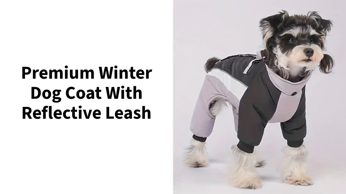 Premium Winter Dog Coat With Reflective Leash by@Outfy