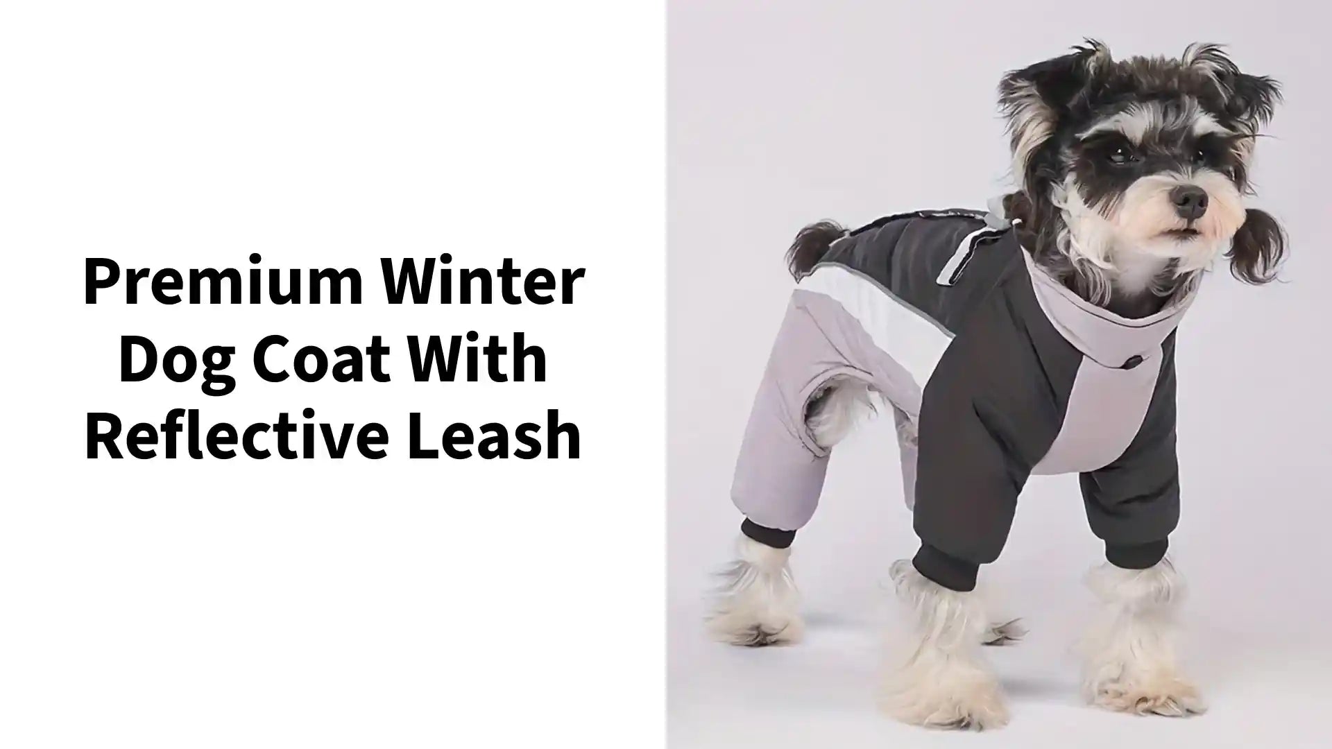Premium Winter Dog Coat With Reflective Leash by@Outfy