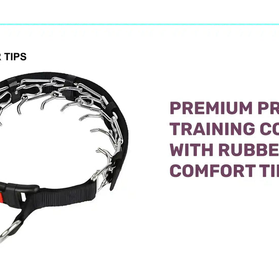 Premium Prong Training Collar With Rubber Comfort Tips by@Outfy