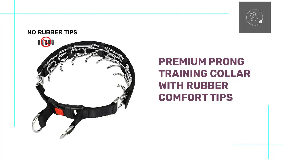 Premium Prong Training Collar With Rubber Comfort Tips by@Outfy