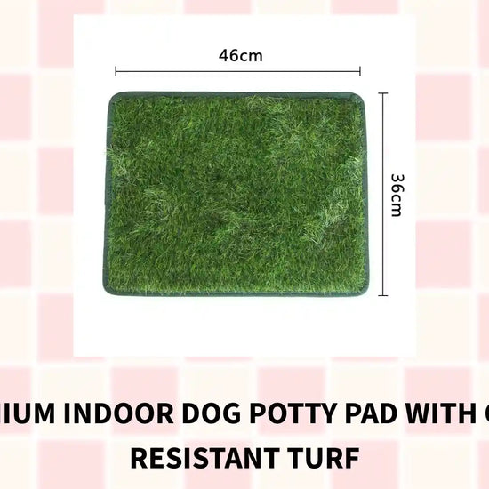 Premium Indoor Dog Potty Pad With Odor Resistant Turf by@Outfy