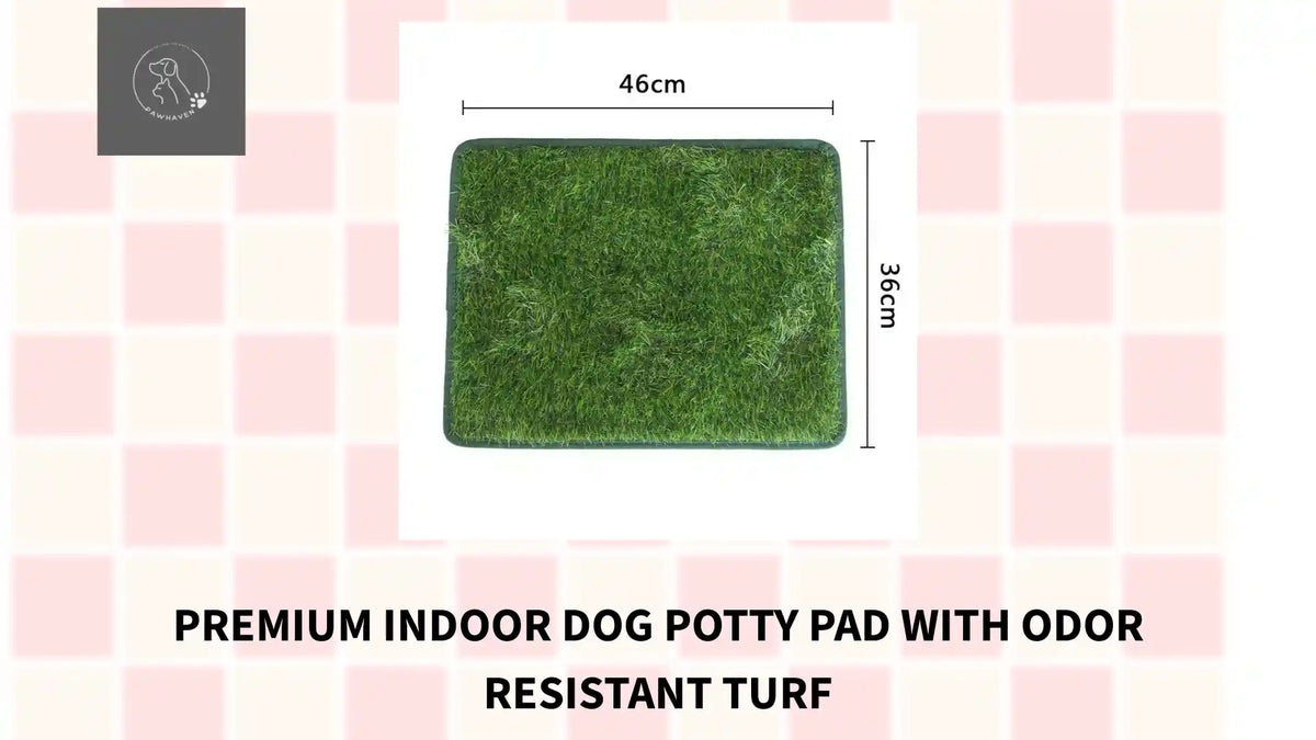Premium Indoor Dog Potty Pad With Odor Resistant Turf by@Outfy