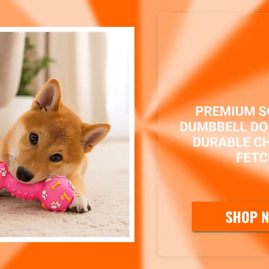 Premium Squeaky Dumbbell Dog Toy For Durable Chew And Fetch by@Outfy