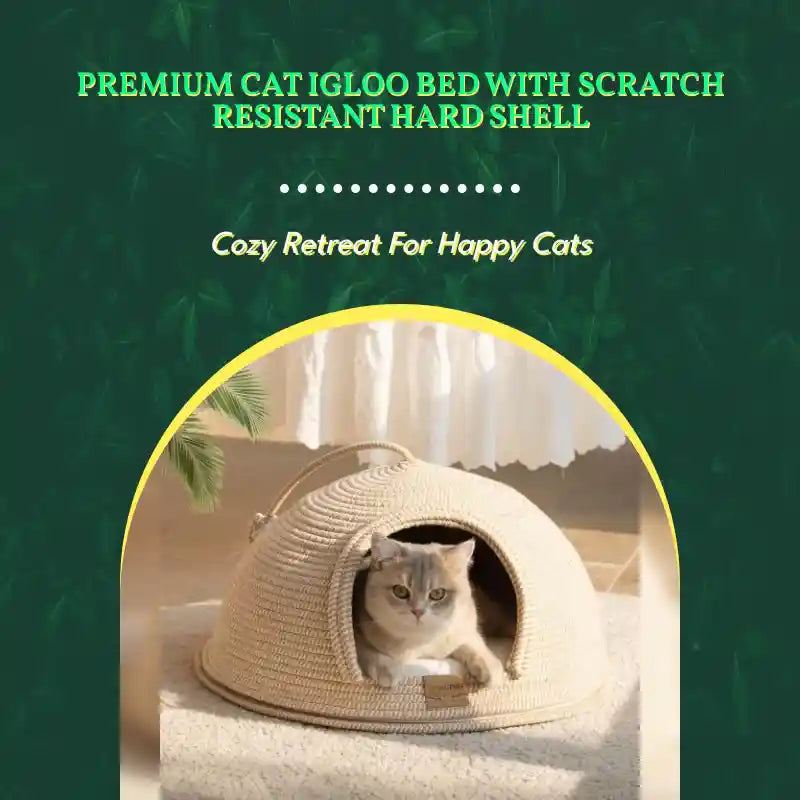 Premium Cat Igloo Bed With Scratch Resistant Hard Shell by@Outfy