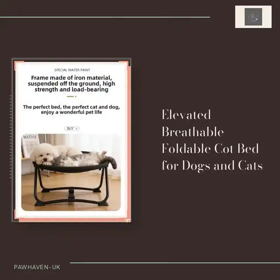 Elevated Breathable Foldable Cot Bed for Dogs and Cats by@Outfy