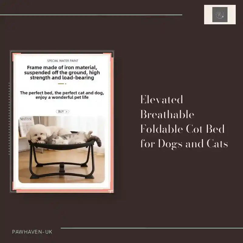 Elevated Breathable Foldable Cot Bed for Dogs and Cats by@Outfy