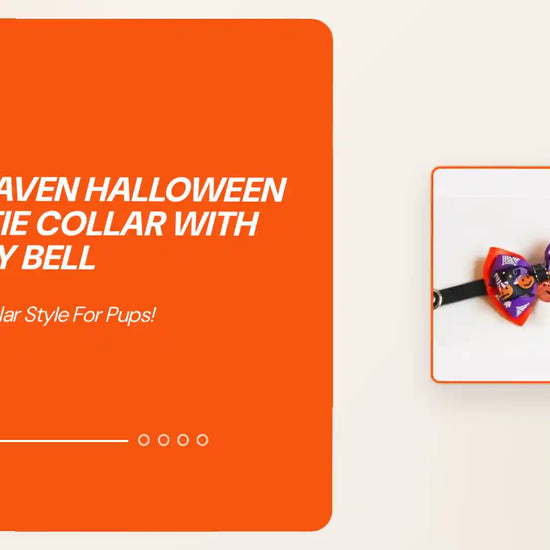 PawHaven Halloween Bow Tie Collar with Safety Bell by@Outfy
