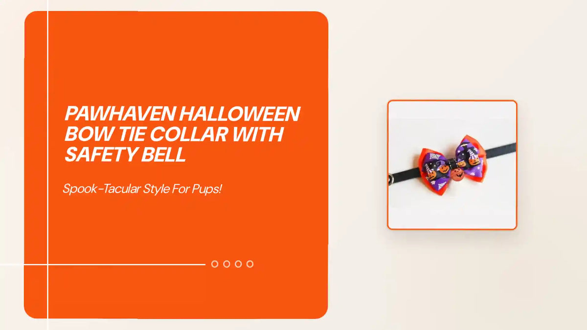 PawHaven Halloween Bow Tie Collar with Safety Bell by@Outfy