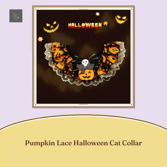 Pumpkin Lace Halloween Cat Collar by@Outfy