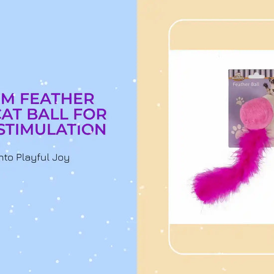 Premium Feather Teaser Cat Ball For Mental Stimulation by@Outfy