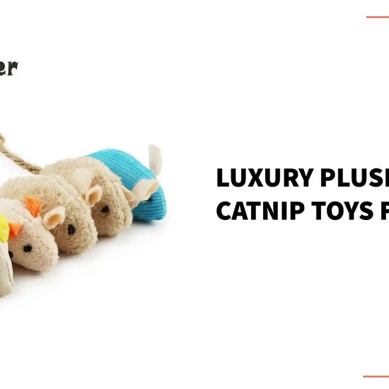 Luxury Plush Mouse Catnip Toys For Cats by@Outfy