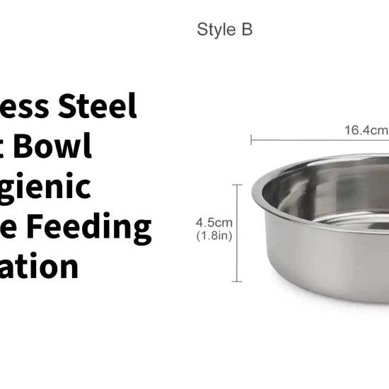Stainless Steel Pet Bowl Hygienic Durable Feeding Station by@Outfy