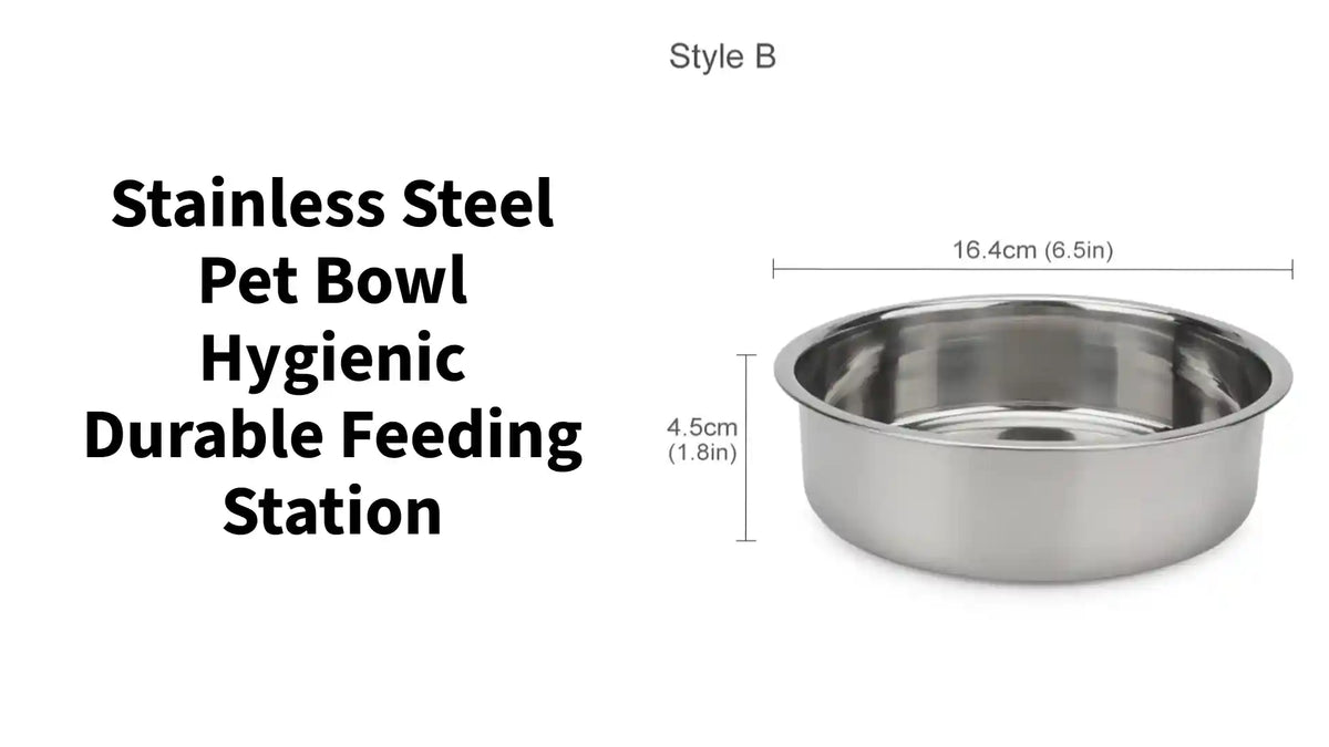 Stainless Steel Pet Bowl Hygienic Durable Feeding Station by@Outfy