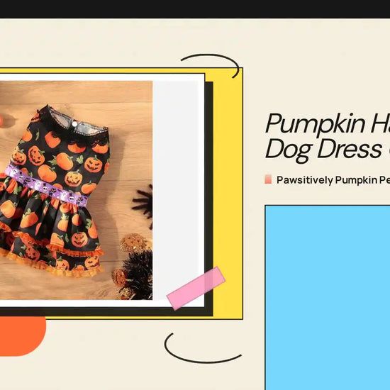 Pumpkin Halloween Dog Dress Costume by@Outfy