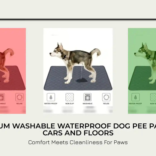 Premium Washable Waterproof Dog Pee Pad For Cars And Floors by@Outfy