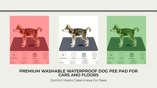 Premium Washable Waterproof Dog Pee Pad For Cars And Floors by@Outfy